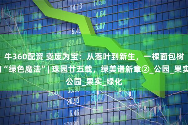 牛360配资 变废为宝：从落叶到新生，一棵面包树眼中的“绿色魔法”| 珠园廿五载，绿美谱新章②_公园_果实_绿化